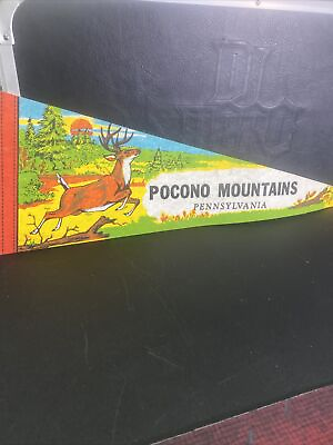 #ad Pocono Mountains Vintage Pennant $25.00