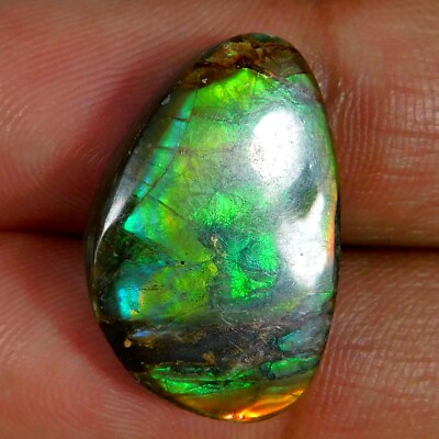 #ad 16.40Cts. Natural Power Genuine Ammolite Fancy Cabochon Loose Gemstone $79.99