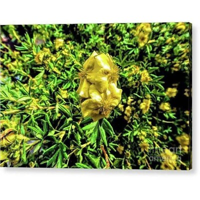 #ad Acrylic Print quot;Yellow Flowerquot; $299.99