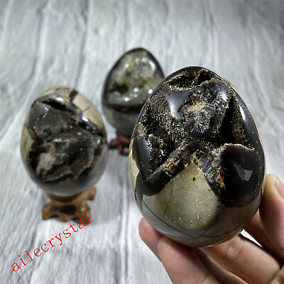 #ad Natural dragon septarian quartz egg Sphere crystal ball healing random STAND $32.89