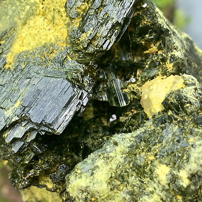 #ad 3.24LB Natural Green Tourmaline Quartz Crystal Cluster Mineral Specimen $324.00