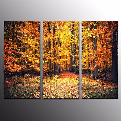 #ad Autumn Forest Photo Canvas Art Prints Wall Art Painting Home Decor 3Pcs No Frame $33.80