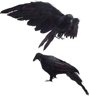 #ad 2 Pack Realistic Crows Lifesize Extra Large Handmade Black Feathered Crow for Ha $38.74