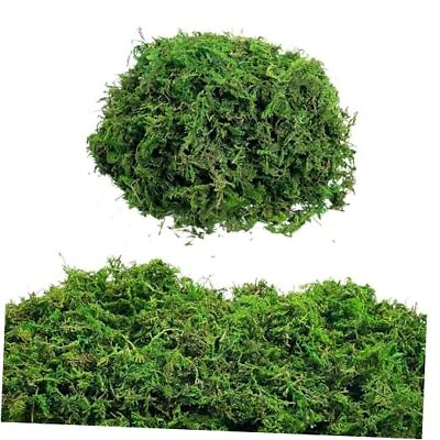 #ad Moss for Crafts Artificial Moss Decorative Moss for Potted Plant 100g Green $19.09