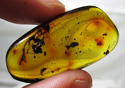 #ad 3.2 gram Dominican Republic fossil amber with debris $45.00
