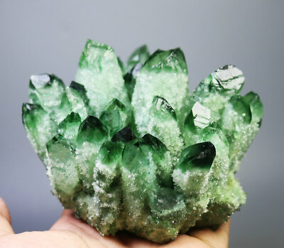 #ad 1.69lb RARE Natural Beatiful Green Quartz Crystal Cluster Mineral Specimen $91.99