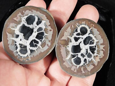 #ad Neat Lighting Like Pattern Split and Polished SEPTARIAN Nodule Morocco 87.8gr $14.99
