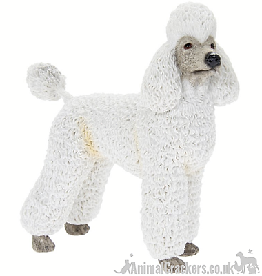 #ad White standing Poodle ornament figurine sculpture quality Leonardo gift boxed GBP 12.90