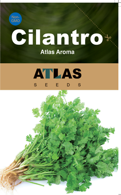 #ad Cilantro Atlas Aroma $2.99