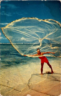 #ad Postcard Hawaiian Throw Net Honolulu Hawaii HI 1955 Pre Statehood N300 $15.59