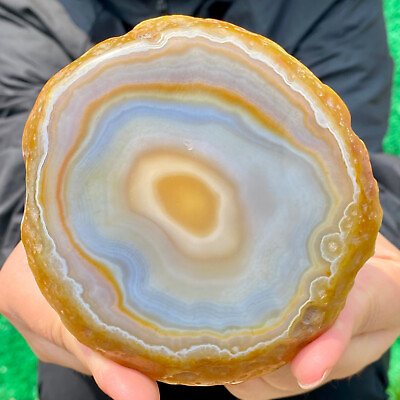 #ad 291G Natural Beautiful Agate Geode Druzy Slice ExtraLarge Gemstone $55.00