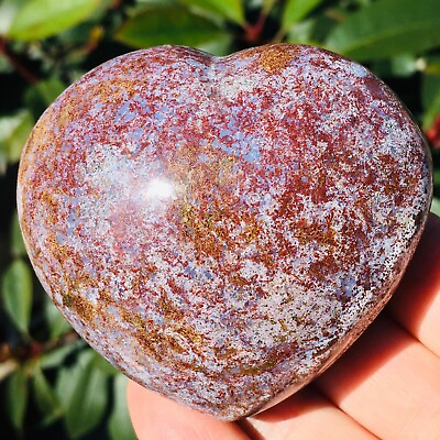 #ad 206g Natural Ocean Jasper Quartz Heart Crystal Miracle Sea Stone Madagascar $29.82