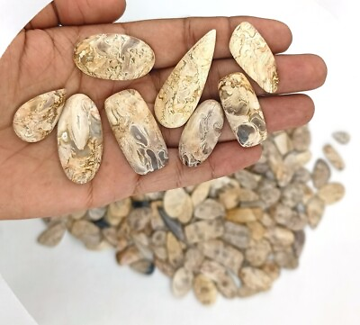 #ad Handmade Natural Root Plume Agate Loose Gemstones Handmade Stone Wholesale 71642 $40.96