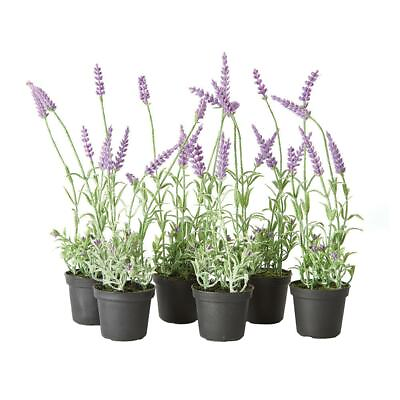 #ad Set 12 Mini Lavender Faux Floral Plants in Pots Rustic Gift Purple Flowers $88.00