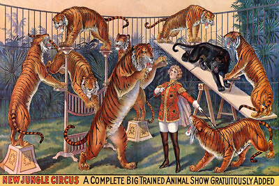 #ad NEW JUNGLE CIRCUS BIG TRAINED ANIMAL SHOW TIGERS VINTAGE POSTER REPRO $79.00