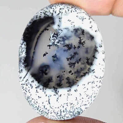 #ad 57.10Cts Natural Dendrite Opal Oval Cabochon Loose Gemstones $8.99