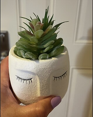 #ad Mini ceramic potted artificial succulents cute succulent pots with eyelashes $30.00