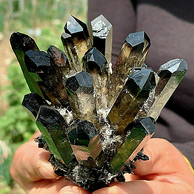 #ad 1PC New Find black Phantom Quartz Crystal Cluster Mineral Specimen Healing Gift $36.00