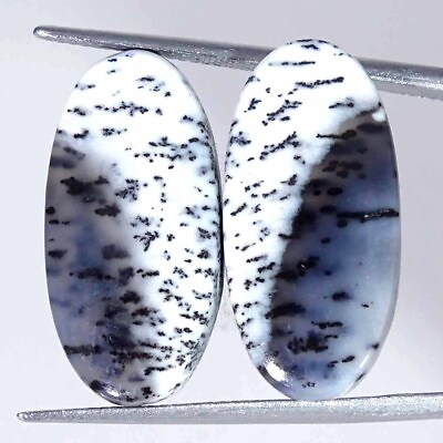 #ad 20.30Cts Natural Dendrite Opal Oval Pair Cabochon Loose Gemstone 12x24x4mm $7.99