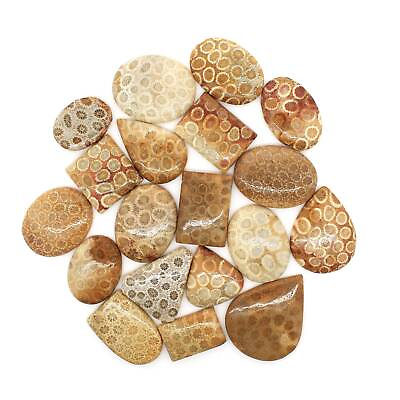 #ad Natural Fossil Coral Mix Wholesale Loose gemstone $135.49