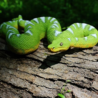 #ad Emerald Tree Boa Incredible Creatures Figure Safari Ltd Realistic Snake Toy $20.00