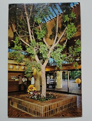 #ad Holiday Inn Motel Hotel Postcard California CA Palo Alto Stanford lobby tree $5.90