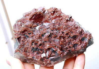 #ad 411g Natural Transparent Red quot;Phantomquot; Cube Fluorite Cluster Mineral Specimen $196.99