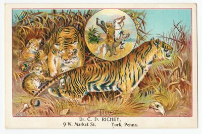 #ad 1880s Dr. C.D. Richey Dental York PA Tigers Victorian Trade Card $19.99