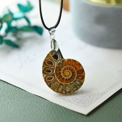 #ad Real Ammonite Fossil Shell Handmade Pendant Adjustable Necklace Gifts for Women $12.60
