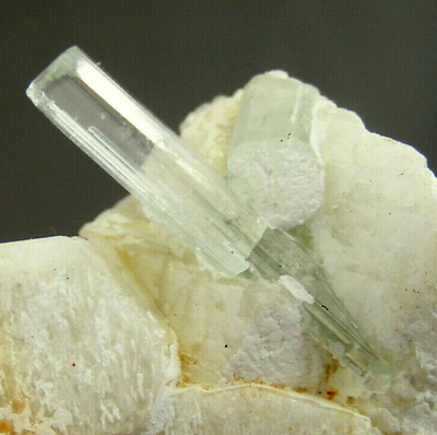 #ad Gemmy Aquamarine Beryl Crystal on Albite Mineral Specimen 20mm Crystal GBP 43.75