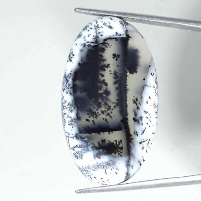 #ad 27.00Cts Natural Dendrite Opal Oval Cabochon Loose Gemstone $7.99