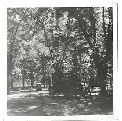 #ad Vintage ? 1928 1931 Photo Model T Automobile Trees Lincoln Nebraska Black White $12.60