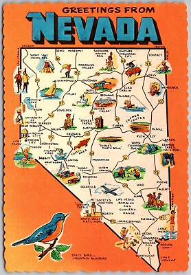 #ad Postcard: Nevada Sagebrush State Mountain Bluebird and More A185 $3.49
