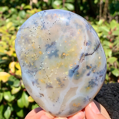 #ad 355G Beautiful natural agate tree snow crystal polished specimens Museum level $92.40