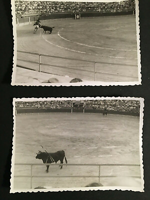 #ad Vintage Unusual Bamp;W Photos of Bull Fight in Arena #3674 $7.99