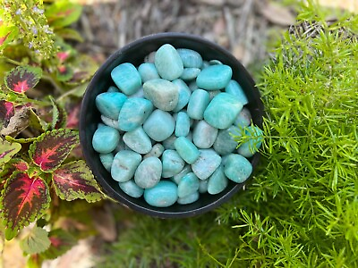 #ad Amazonite Tumbled Gemstones quot;Extra Qualityquot; Bulk Wholesale Options 1 LB $6.50