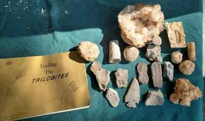 #ad Unique fossil collection lot Trilobite ferns coral types geode and arrowhead $49.00
