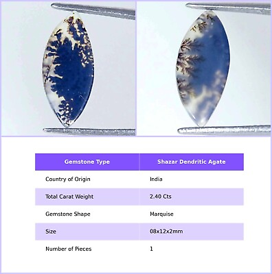 #ad Natural Shazar Dendritic Agate Gemstone Loose Cabochon From India $6.99