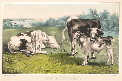 #ad 14239.Decoration Poster print.Room home wall art design.Cow pasture.Vintage Farm $46.00