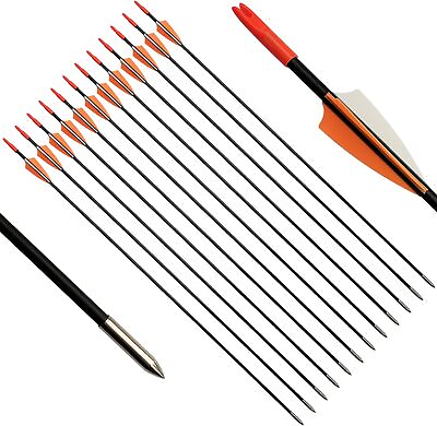 #ad 12pcs 31quot; Fiberglass Arrows Archery Training Arrow with Durable Shaft Blunt Tip $19.94