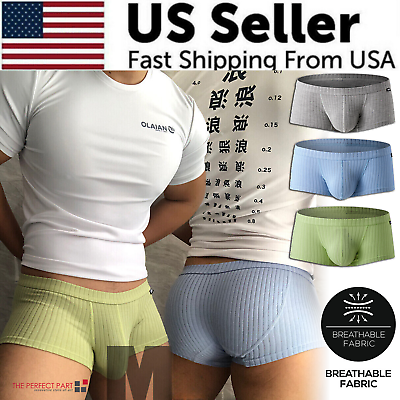 #ad Men#x27;s Sexy Underwear Low waist Briefs U Pouch Boxers Striped Shorts Underpants $7.89