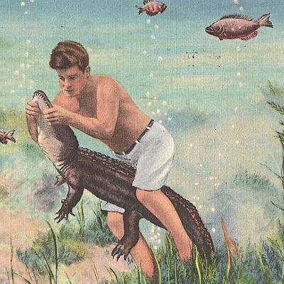 #ad c.1936 Man Wrestling Alligator Underwater Silver Springs FL Postcard Marion Co. $18.74