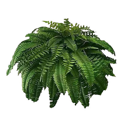 #ad UV Resistant Lifelike Artificial Boston Fern Ferns for Outdoors Faux Fake Plants $14.92