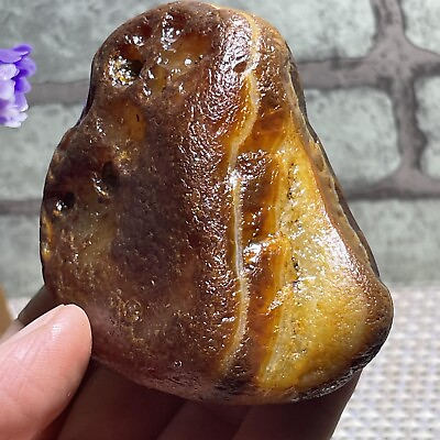 #ad Natural Bonsai Suiseki Natural Gobi Agate Eyes Stone Stunning Viewing 192g FA59 $25.35