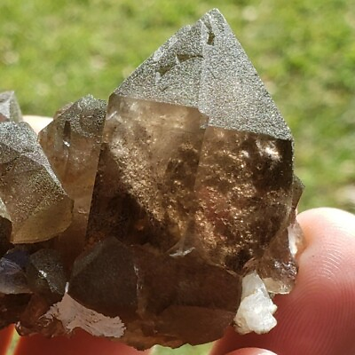 #ad Fine Natural Smokey quartz crystal cluster mini mineral specimen Gemmy Swiss $133.00