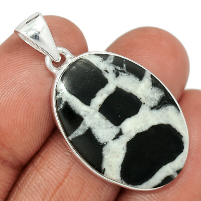 #ad Natural Lightning Stone Septarian 925 Sterling Silver Pendant Jewelry CP33351 $16.99