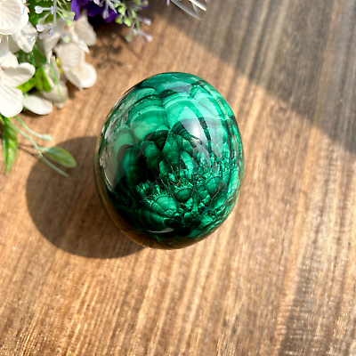 #ad 800g Natural Green Quartz crystal Malachite egg Mineral Specimen Healing $160.00
