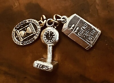#ad Lot Weight Loss Charms Encouraging Progress 3 Charms Tops $14.97