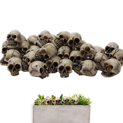 #ad Skeleton Head Mini Skeleton Head 20 Pieces Small Mini Skulls Decor For Garden $11.60
