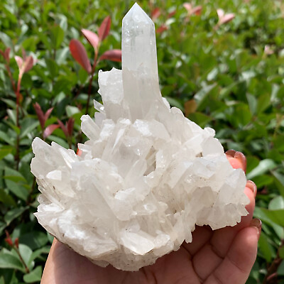 #ad 1.83Lb Natural Clear Quartz Cluster Point mineral Crystal Healing D100 $39.00